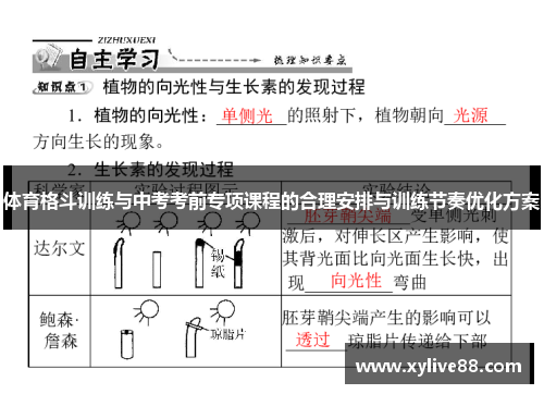 体育格斗训练与中考考前专项课程的合理安排与训练节奏优化方案